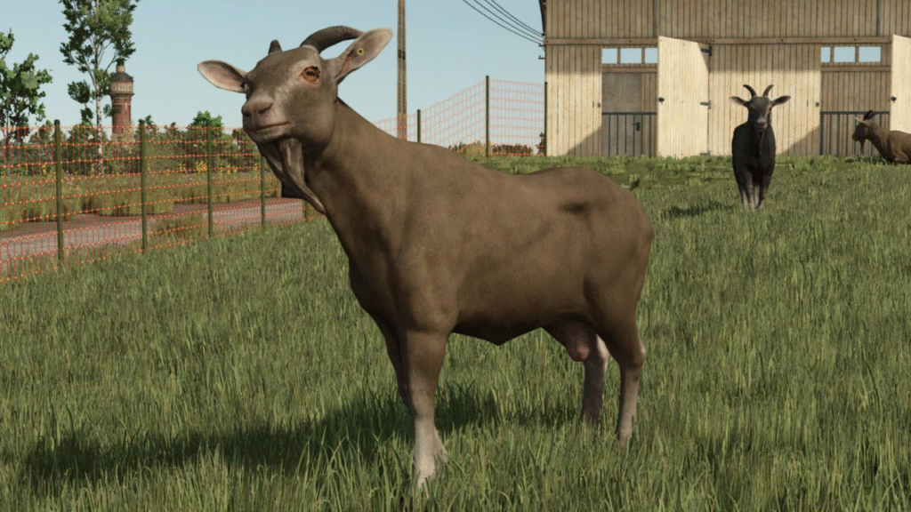 image-1777-1024x576 Animal Package Vanilla Edition