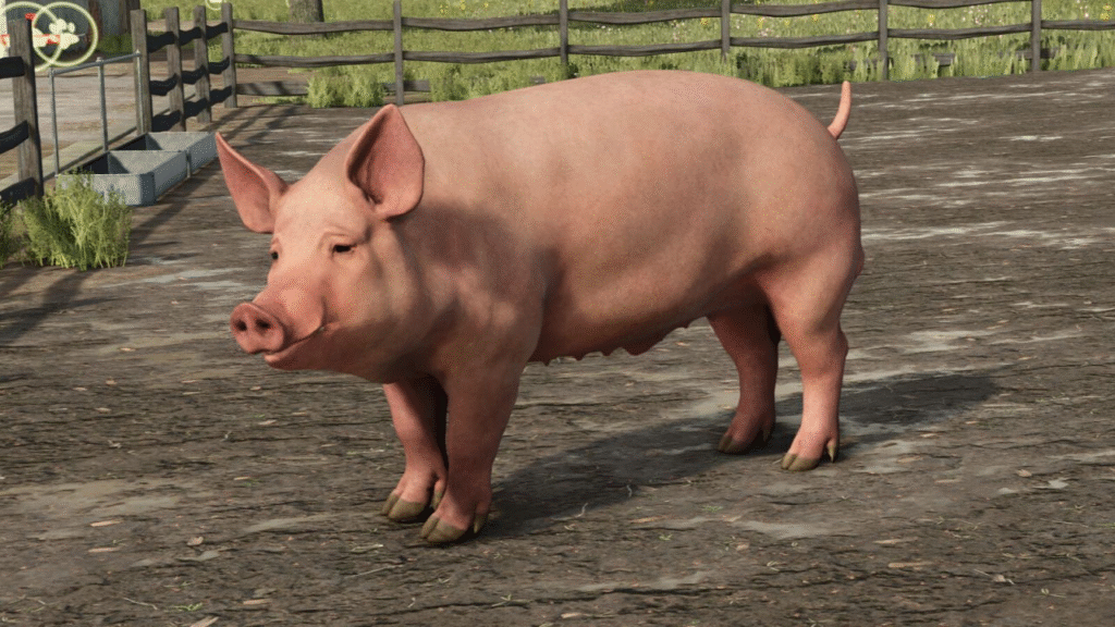 image-1778-1024x576 Animal Package Vanilla Edition