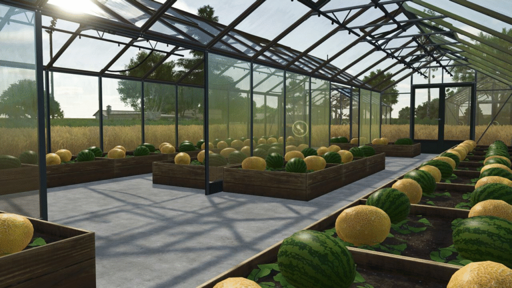 image-1984-1024x576 Pumpkin Melon Watermelon Greenhouses