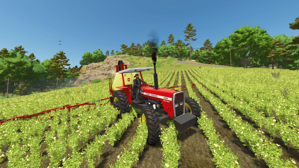 image-2035-1024x576 Massey Ferguson 299