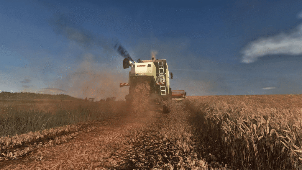 image-510-1024x576 All-in-One Easy-to-Install Texture Pack