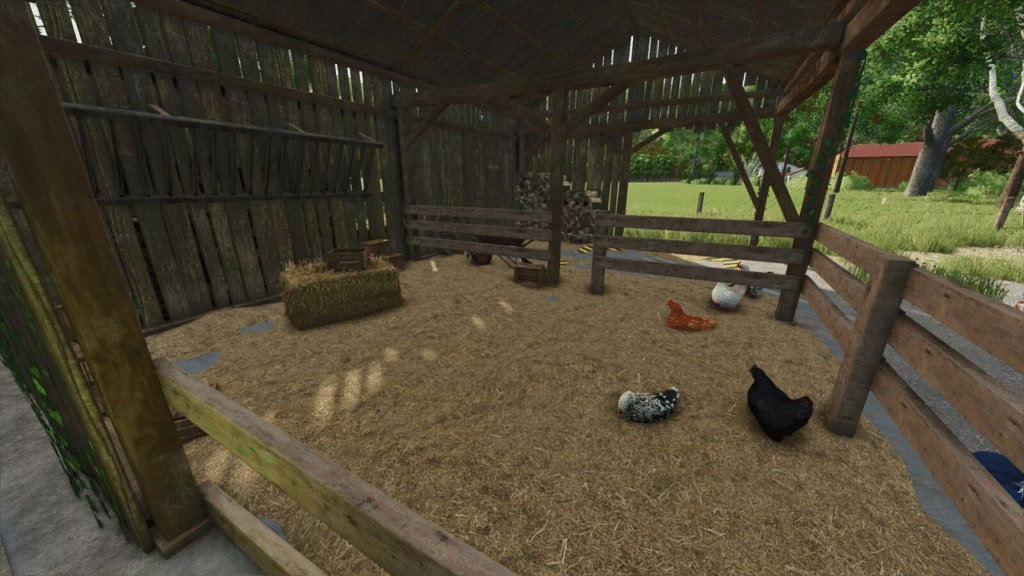 image-818-1024x576 Chicken Shelter