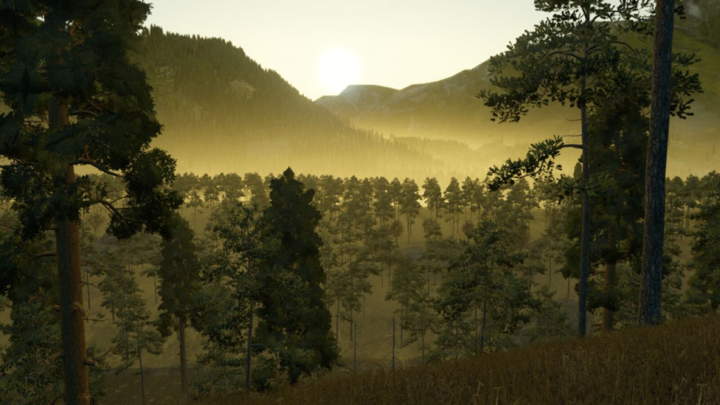 image-1111-1024x576 Greenwood Forest