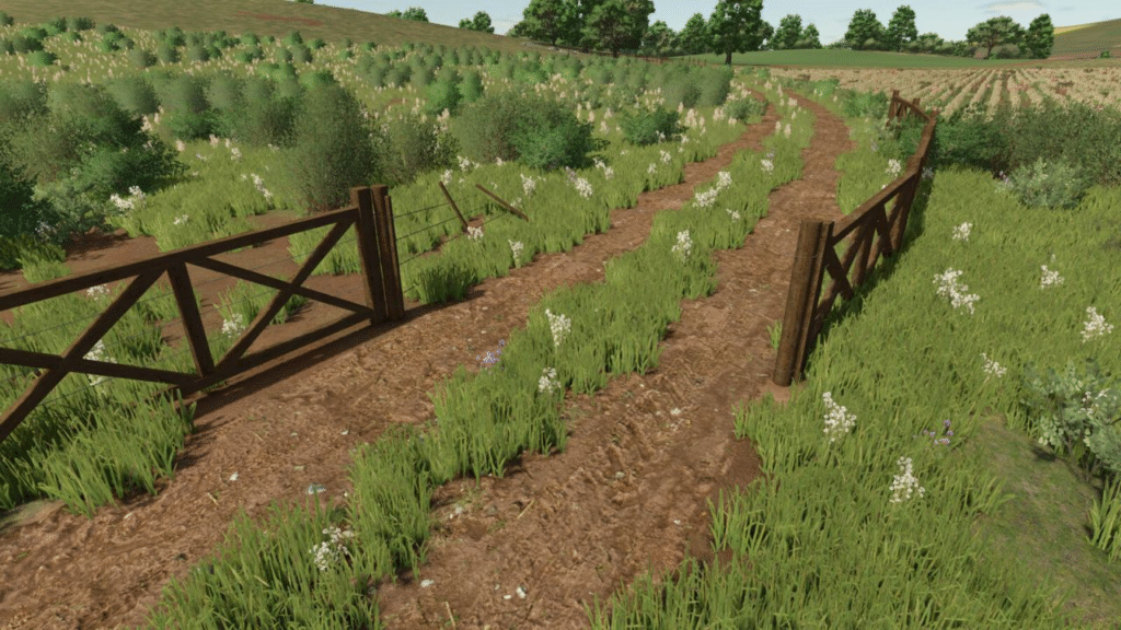image-1115-1024x576 Brazilian Fences