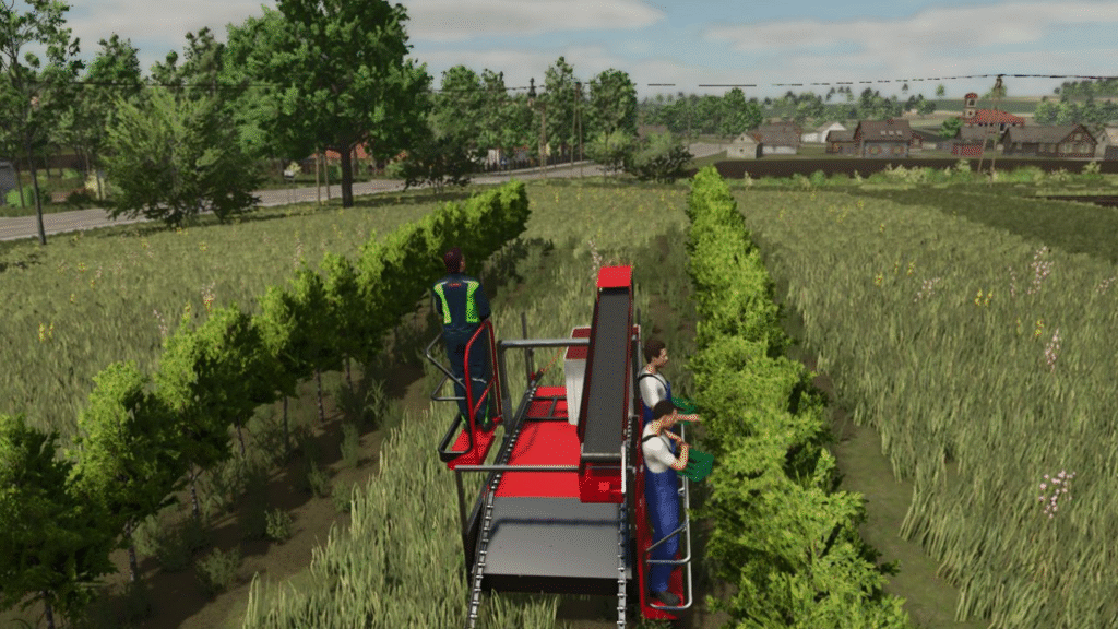 image-1185-1024x576 Harvest Brigade (Multifruit)