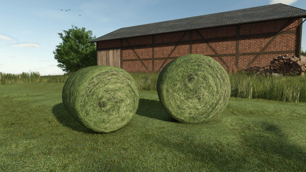 image-144-1024x576 Hay and grass swath texture