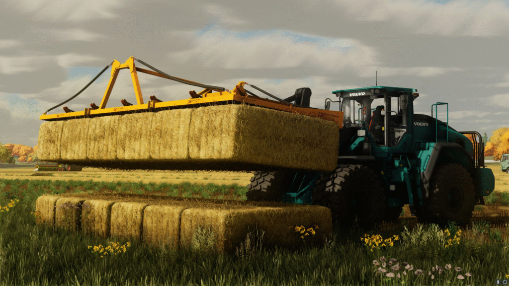 image-1460-1024x576 Meijer Holland Rambo 6KD