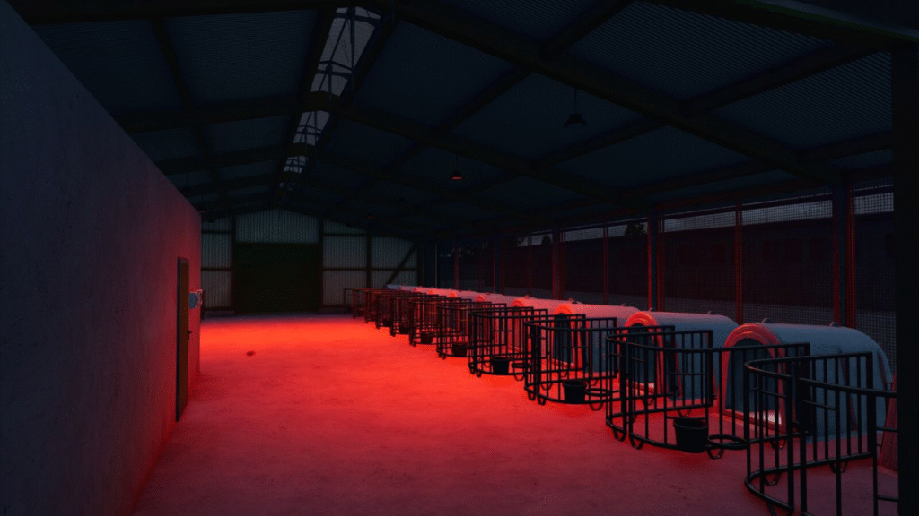 image-1604-1024x576 Calf Village