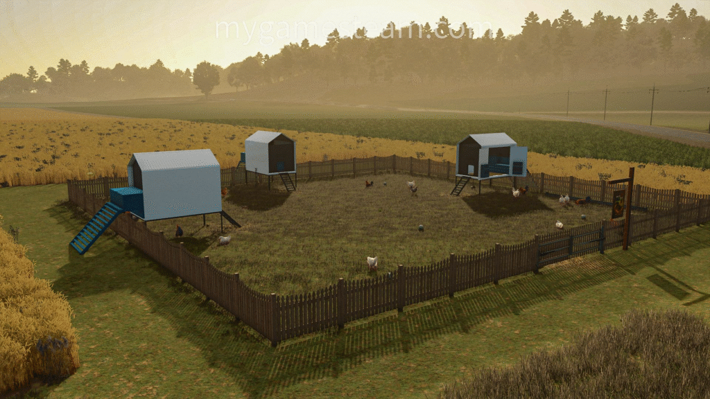 image-455-1024x576 Modern Coop Chicken Husbandry