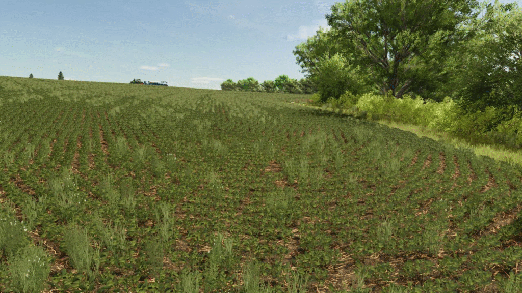 image-482-1024x576 Koshmak