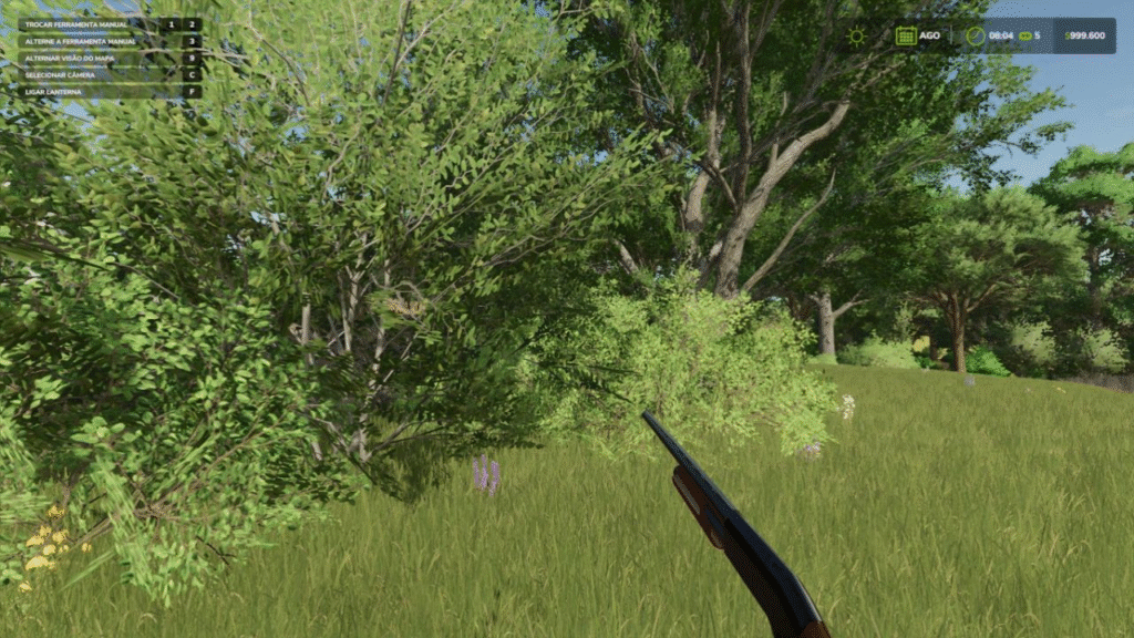 image-493-1024x576 Lizard 12