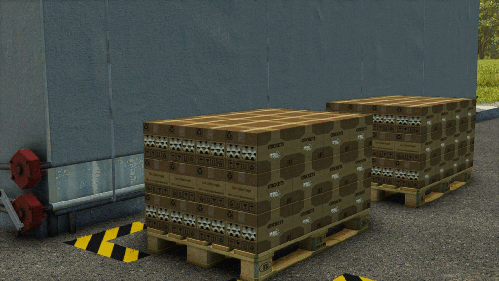 image-579-1024x576 Insects Production