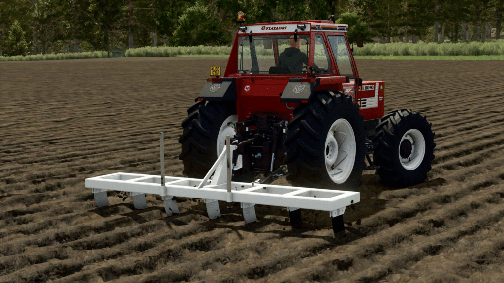 image-1293-1024x576 Lizard 7