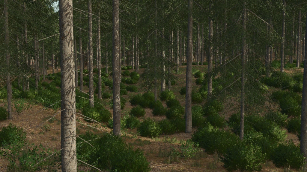 image-145-1024x576 Persholmen