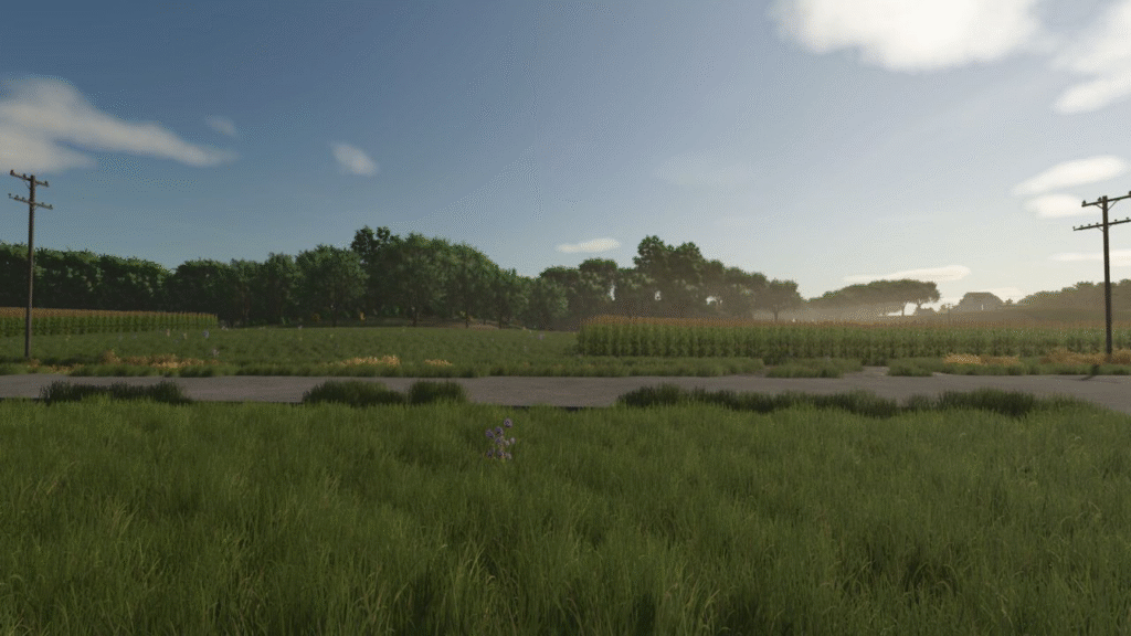 image-346-1024x576 Hazelnut Farms