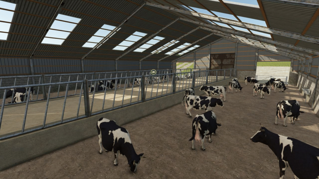 image-388-1024x576 Large UK Indoor Cow Barn