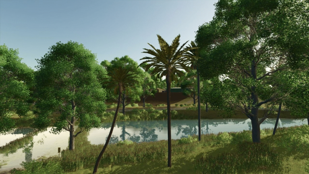 image-466-1024x576 Lapacho Palms