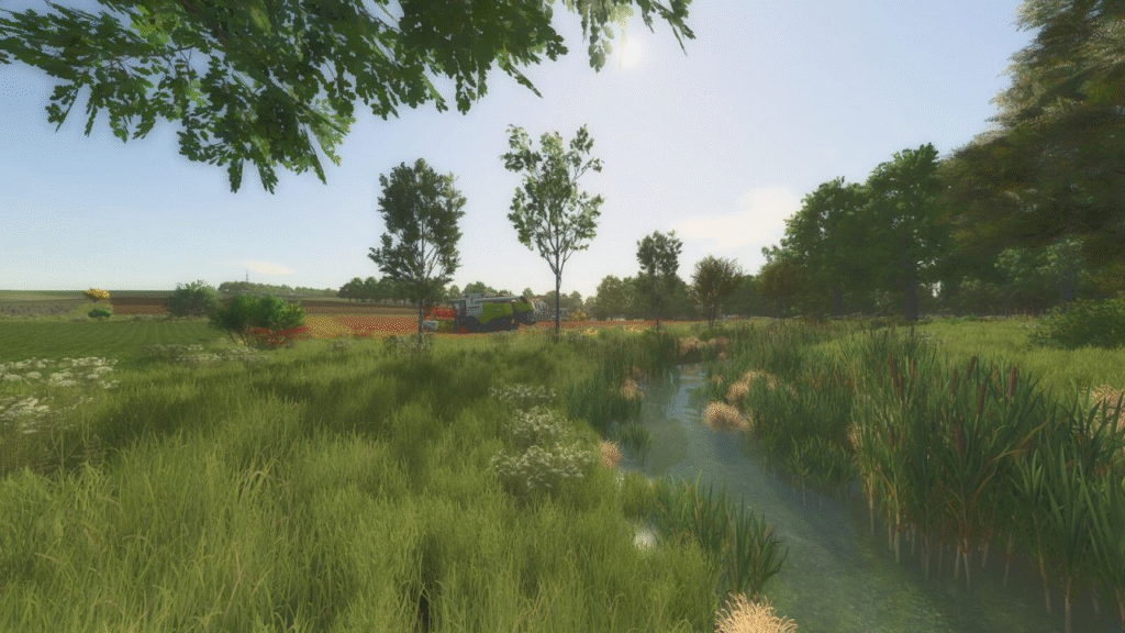 image-56-1024x576 Des Cagouilles Dans L'Garouil