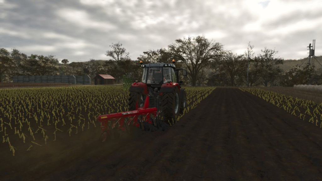 image-803-1024x576 Lizard AF