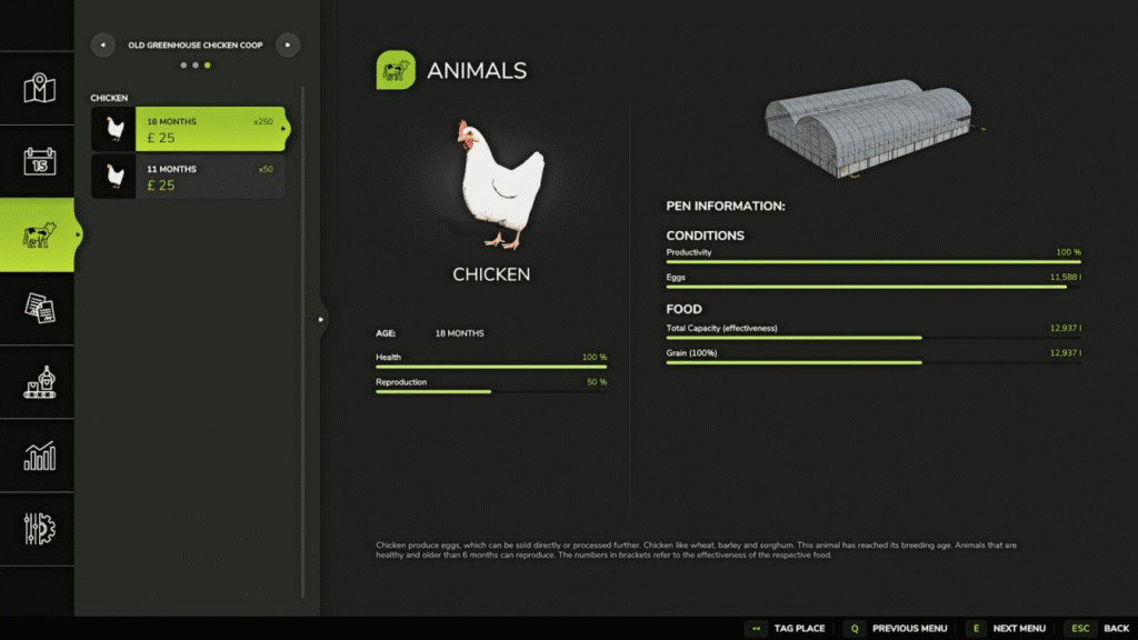 image-944-1024x576 Old Greenhouse Chicken Coop