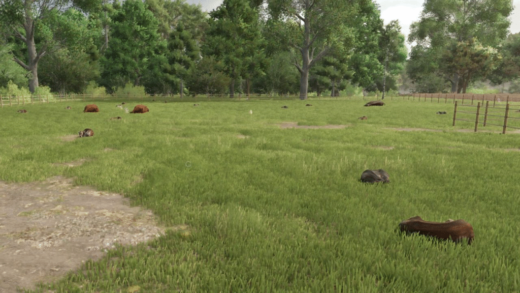 image-946-1024x576 Automatic Drinking Trough