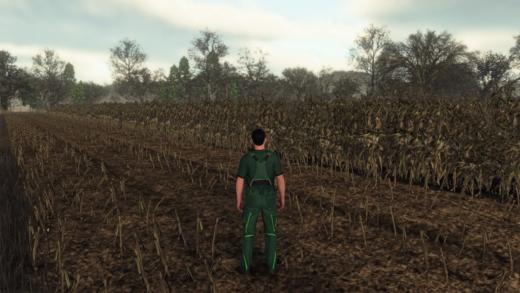 image-1214-1024x576 Realistic Maize Growth System in Europe