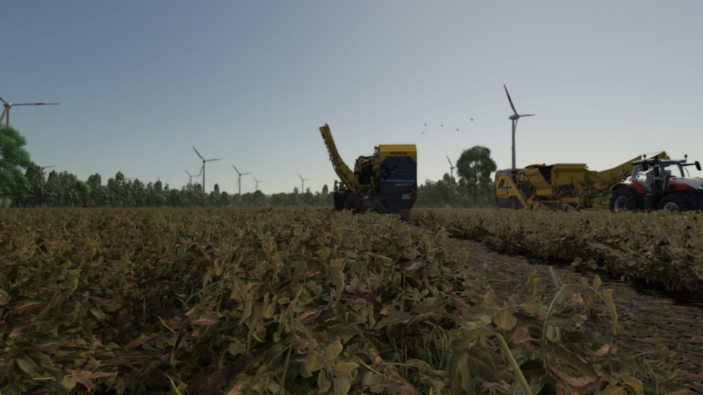 image-1426-1024x576 Ropa Keiler RK22