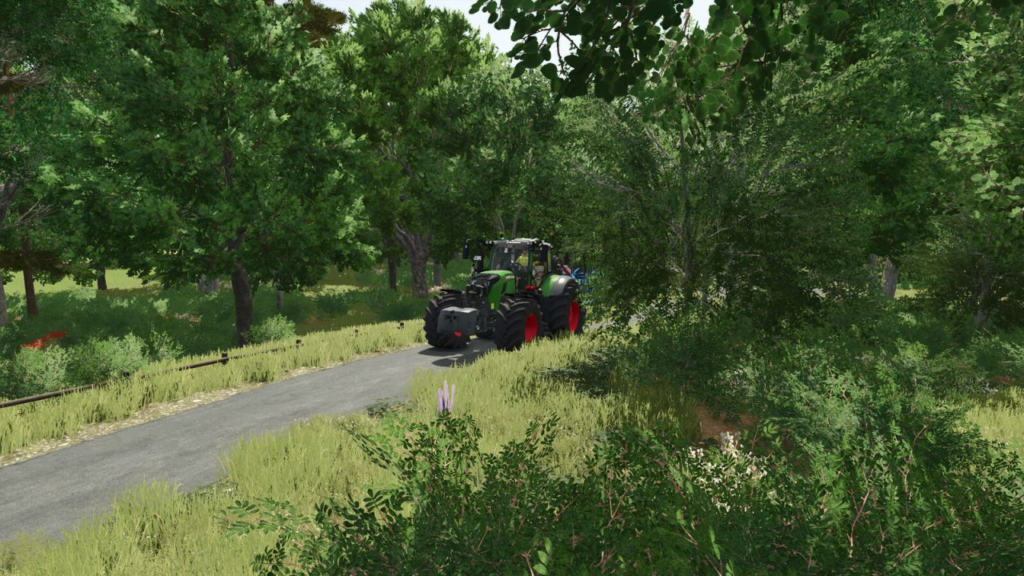 image-1512-1024x576 Schwaadeheim