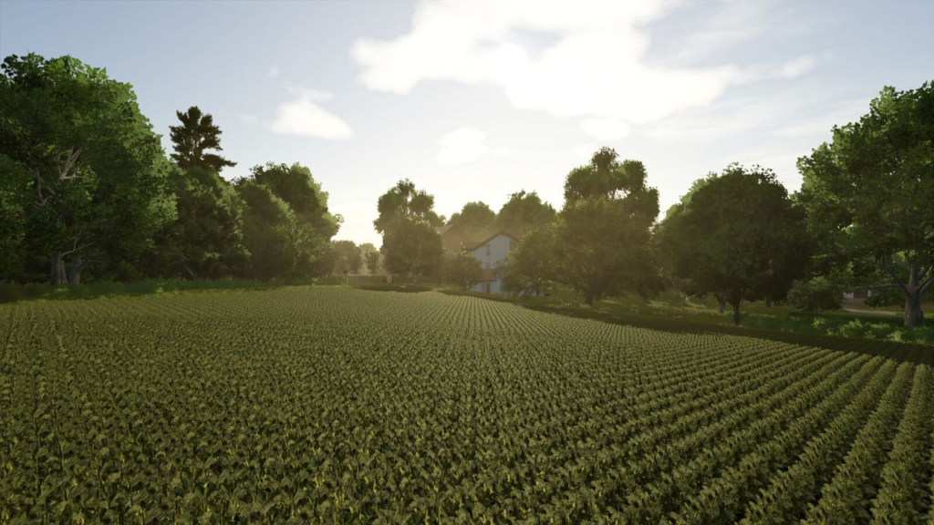 image-1513-1024x576 Schwaadeheim