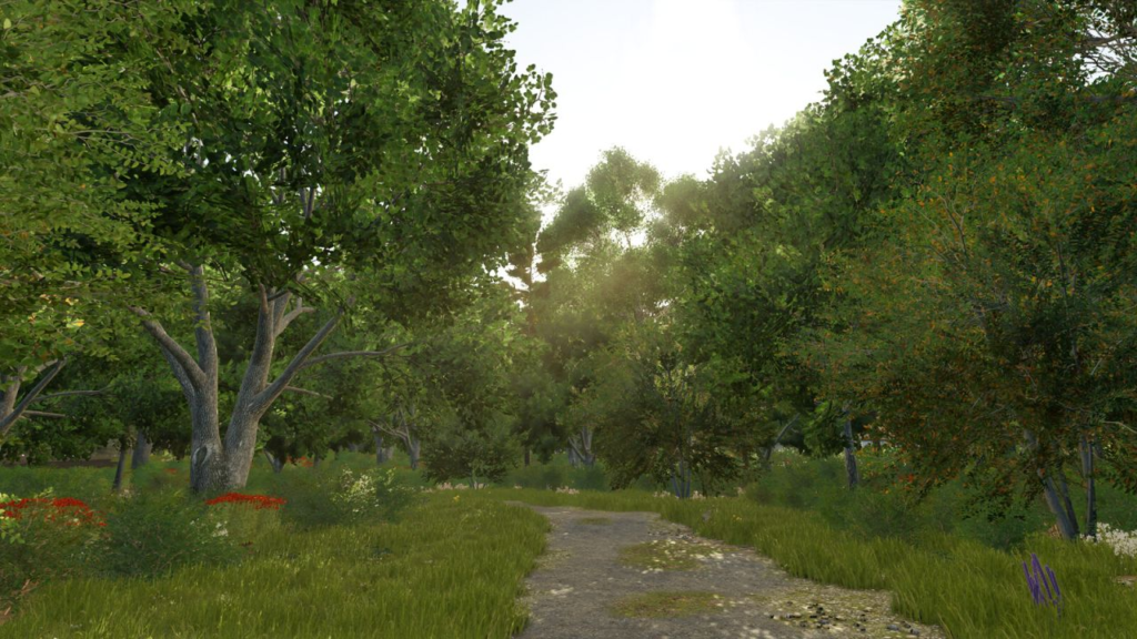 image-1514-1024x576 Schwaadeheim