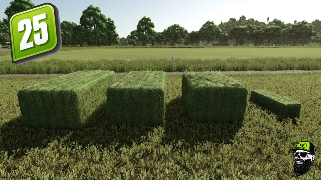 image-1586-1024x576 Grass/Hay Bale Textures