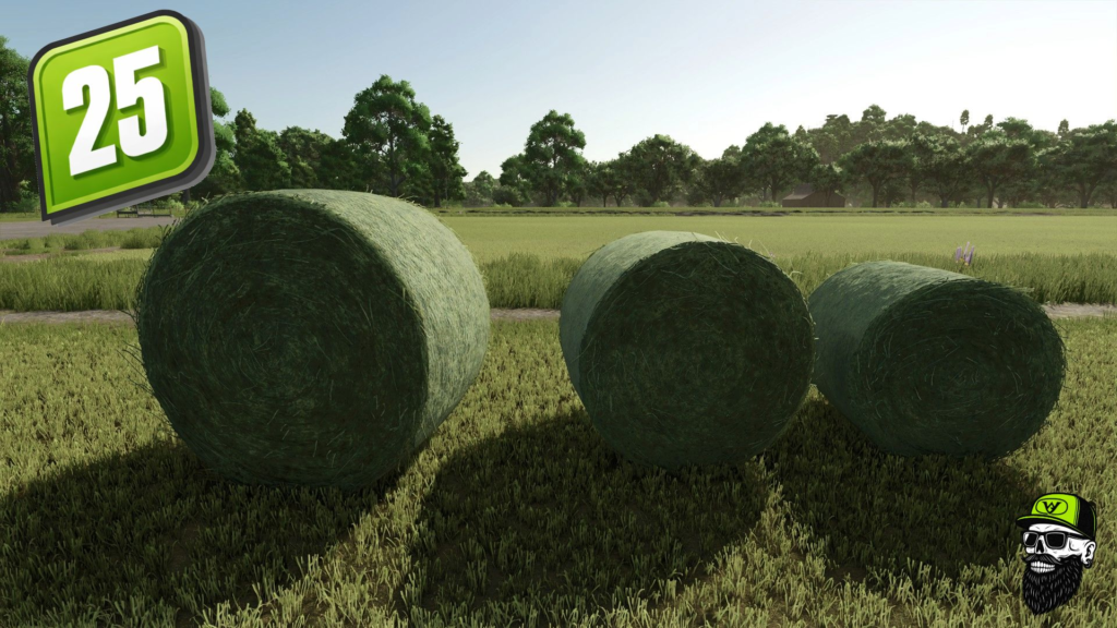image-1587-1024x576 Grass/Hay Bale Textures