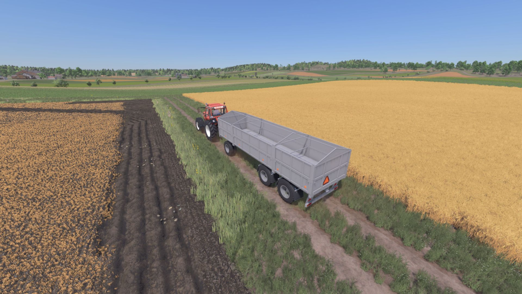 image-1776-1024x576 Lizard D882