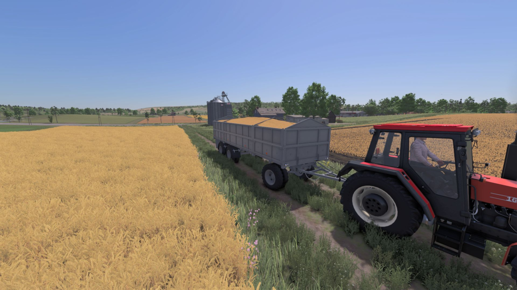 image-1779-1024x576 Lizard D882