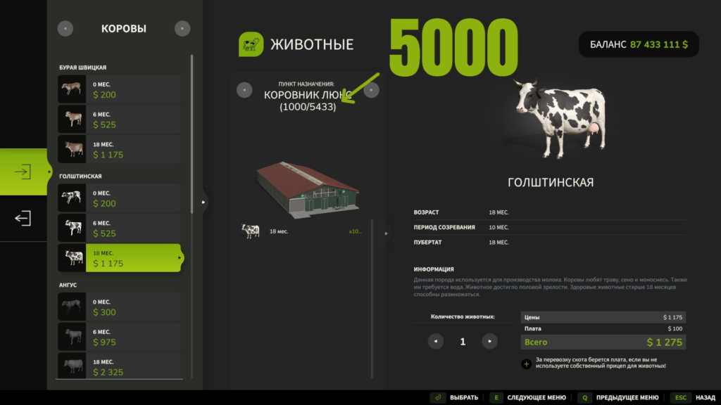 image-1855-1024x576 Lux Cowshed