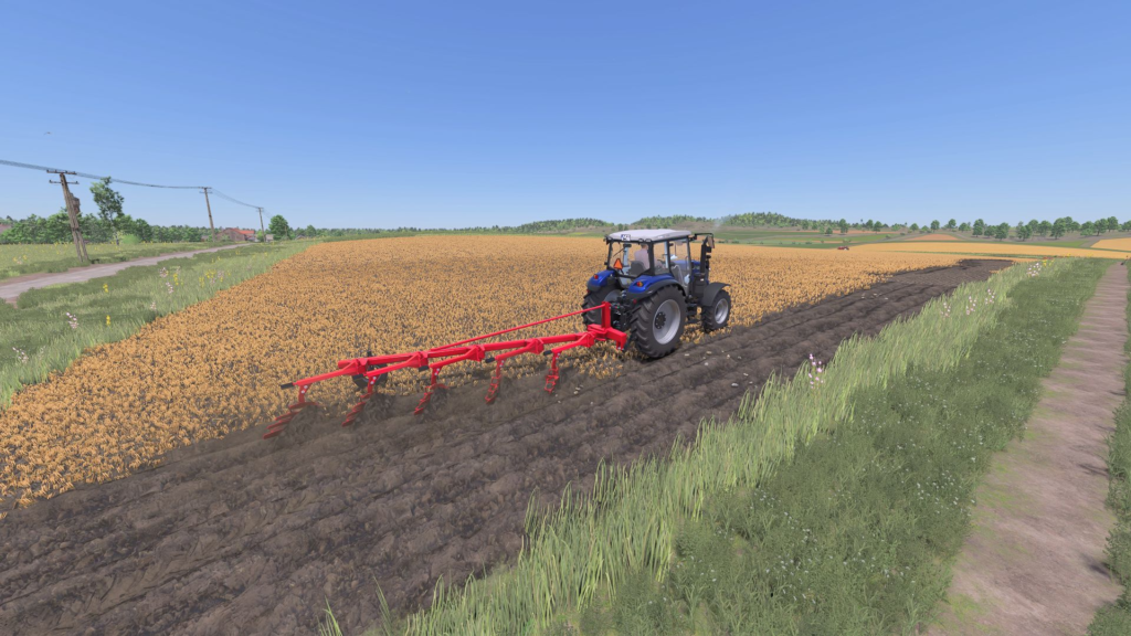 image-1918-1024x576 Lizard Famed 5 Spring Plow