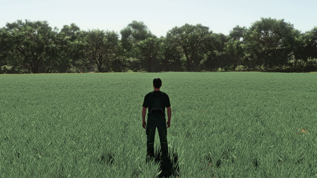 image-633-1024x576 Realistic Oat Growth Cycle in Europe