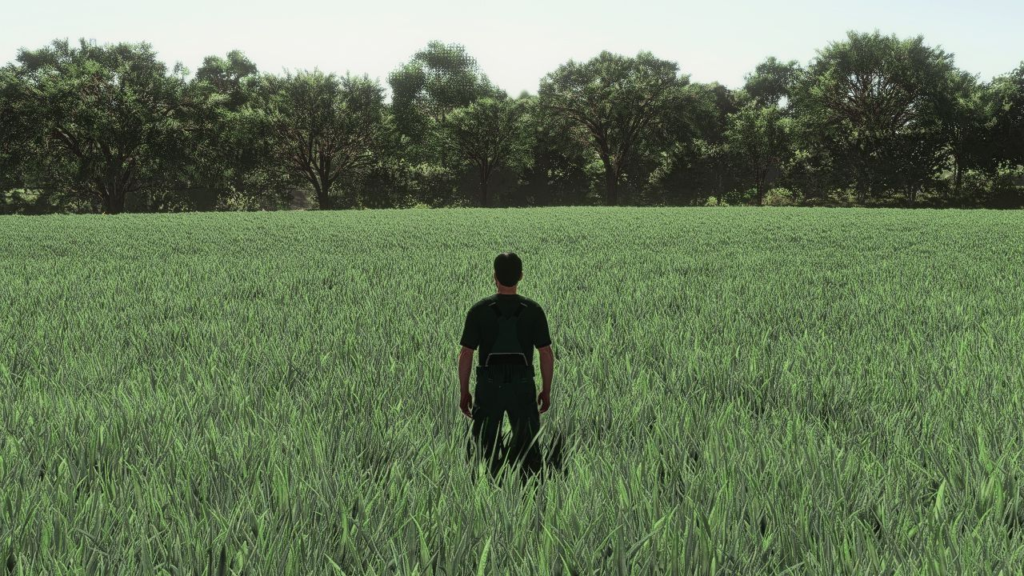 image-634-1024x576 Realistic Oat Growth Cycle in Europe