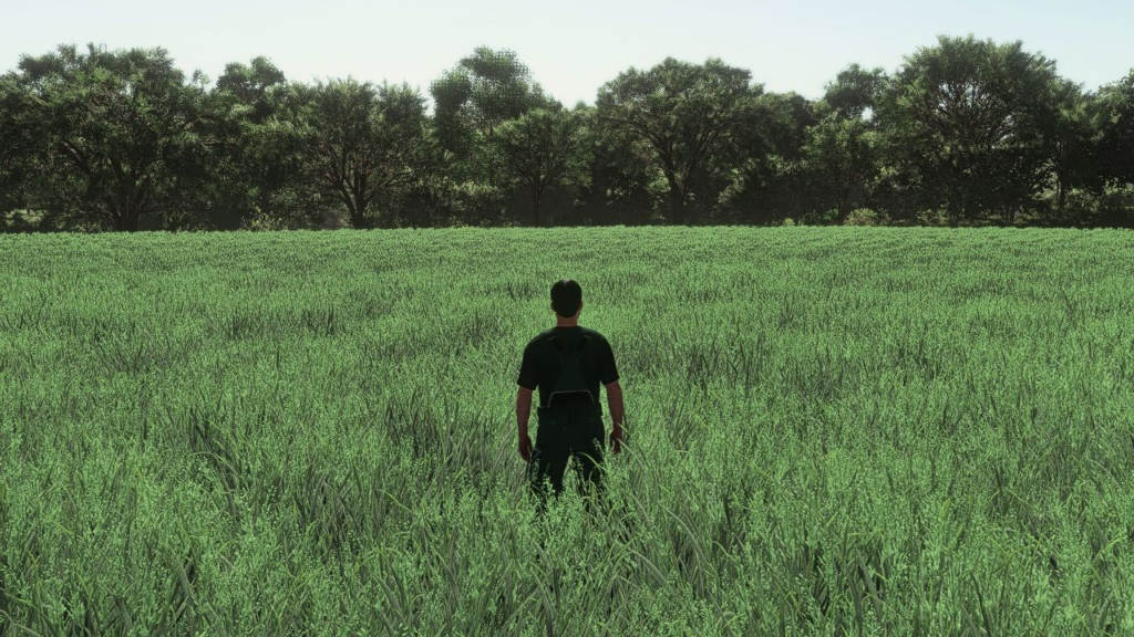 image-635-1024x576 Realistic Oat Growth Cycle in Europe