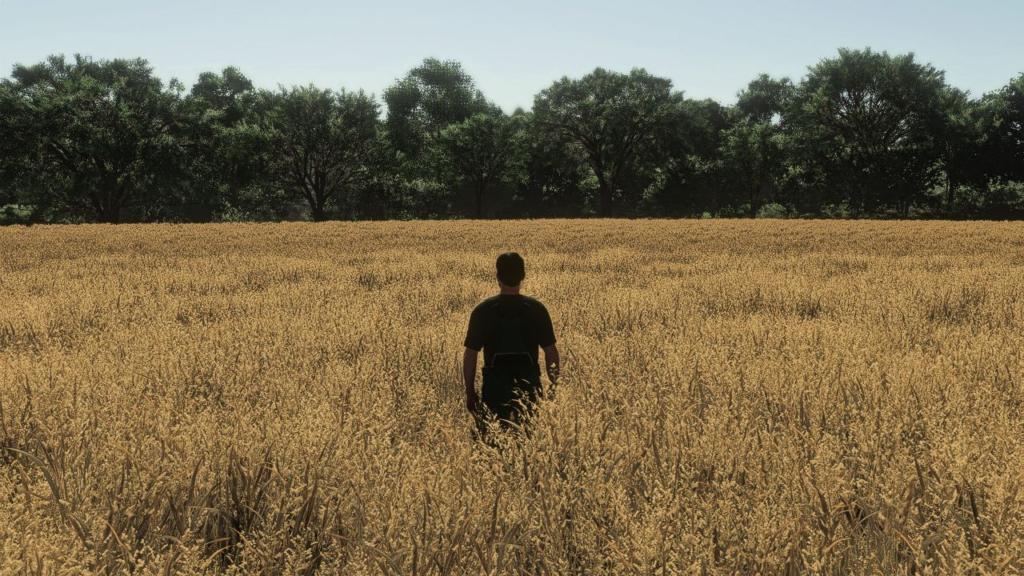 image-636-1024x576 Realistic Oat Growth Cycle in Europe