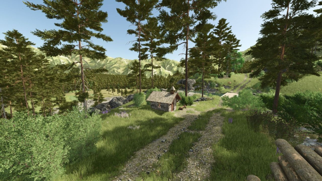 image-972-1024x576 The Essarts