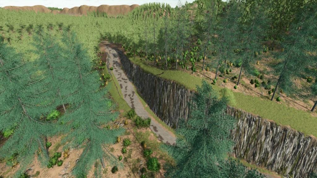 image-976-1024x576 Blue Island Forest