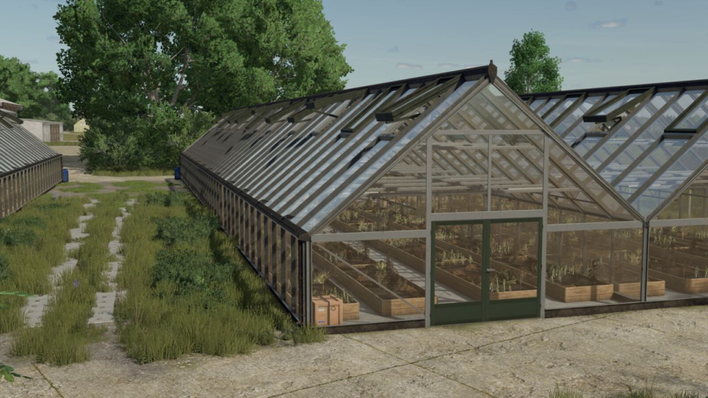 image-1162-1024x576 Large Glass Greenhouse Package