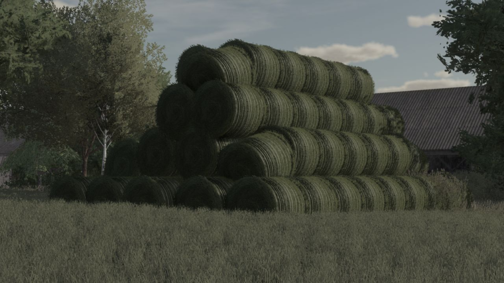 image-1255-1024x576 Stack of round bales