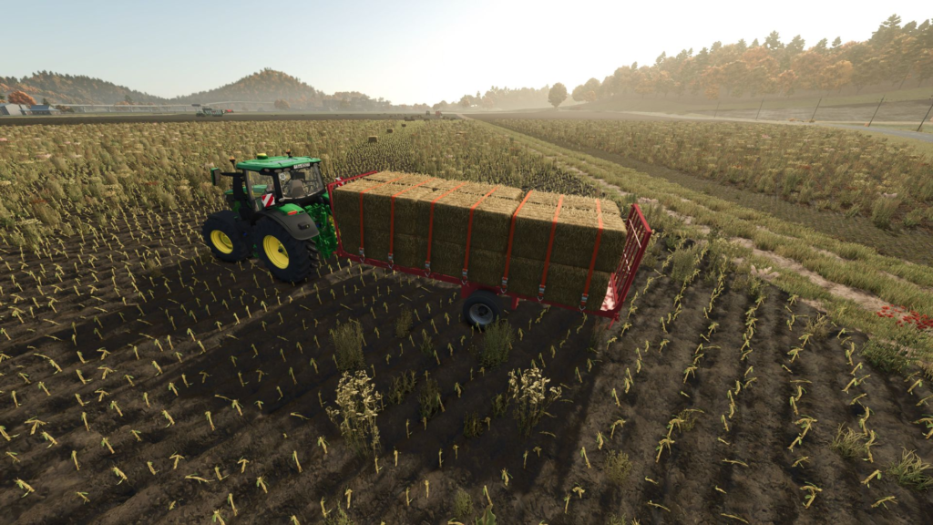 image-31-1024x576 Old flatbed trailer La Campagne