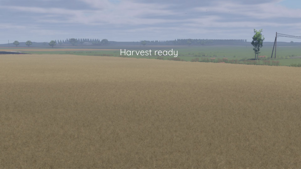 image-681-1024x576 Better canola texture