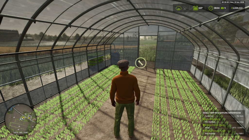 image-703-1024x576 Small Rice Sapling Greenhouse