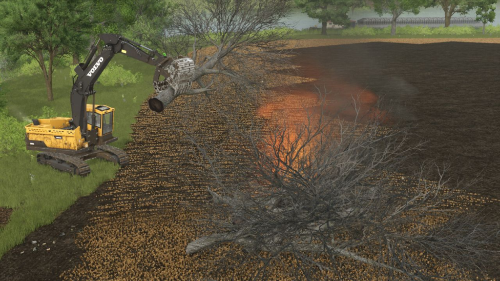 image-177-1024x576 Land Clearing