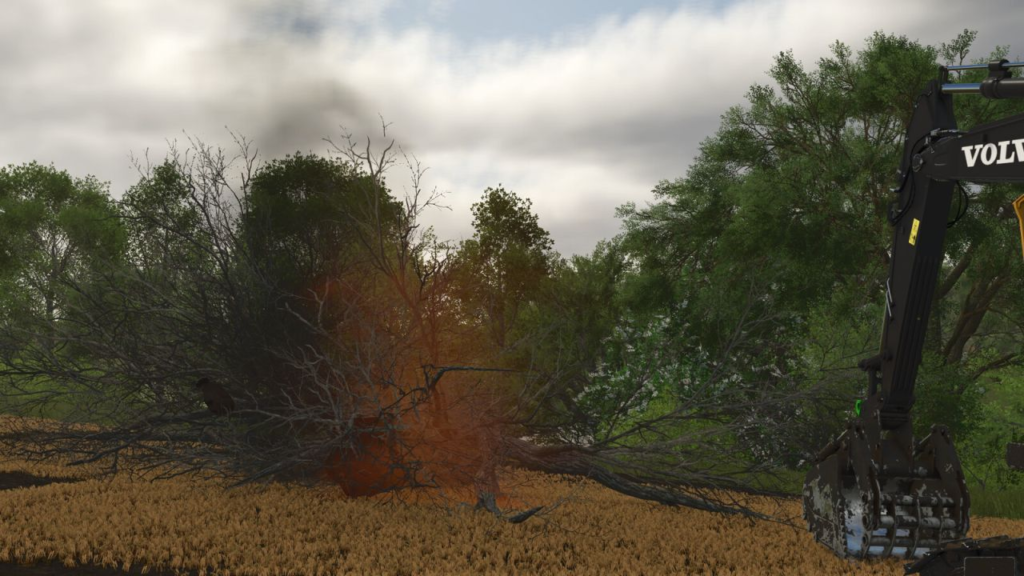 image-178-1024x576 Land Clearing