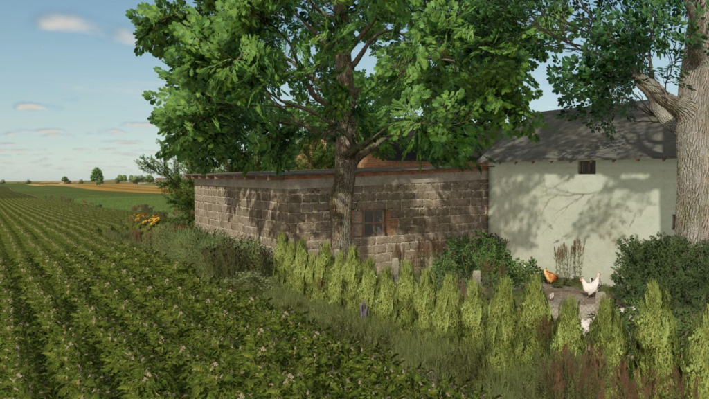 image-244-1024x576 Garage Pack